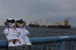 Dcim7882/DSC_0468