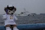 Dcim7882/DSC_0488