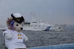Dcim7882/DSC_0495