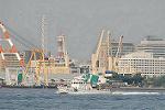 Dcim7883/DSC_0411