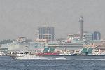 Dcim7884/DSC_0517