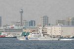 Dcim7884/DSC_0530