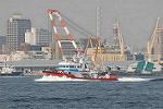 Dcim7884/DSC_0542