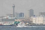 Dcim7884/DSC_0551