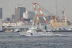 Dcim7885/DSC_0622
