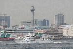 Dcim7885/DSC_0626