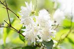Dcim7893/DSC_0763