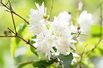 Dcim7893/DSC_0764
