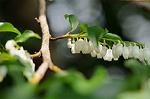 Dcim7893/DSC_0769