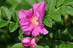 Dcim7893/DSC_0796
