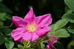 Dcim7893/DSC_0797