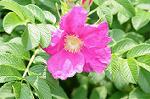 Dcim7893/DSC_0802