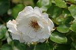 Dcim7893/DSC_0803