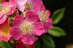 Dcim7894/DSC_0829