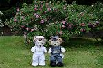 Dcim7894/DSC_0856