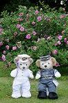 Dcim7894/DSC_0858
