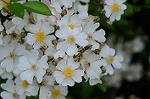 Dcim7894/DSC_0869