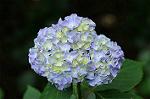 Dcim7894/DSC_0874