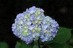 Dcim7894/DSC_0876