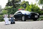 Dcim7894/DSC_0897