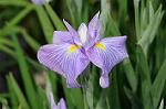 Dcim7894/DSC_0922