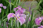 Dcim7894/DSC_0927