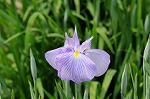 Dcim7894/DSC_0929