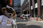 Dcim7897/DSC_0981