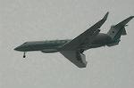 Dcim7898/DSC_0196