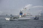 Dcim7902/DSC_1461