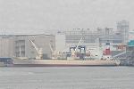 Dcim7906/DSC_1294