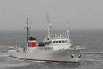 Dcim7906/DSC_1386