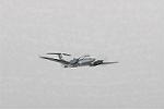 Dcim7907/DSC_1433