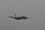 Dcim7907/DSC_1438