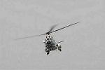 Dcim7908/DSC_1643