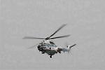 Dcim7908/DSC_1646