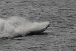 Dcim7909/DSC_1686