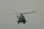 Dcim7912/DSC_0309