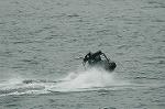 Dcim7912/DSC_0339