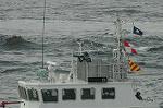 Dcim7913/DSC_0416