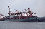 Dcim7915/DSC_2058