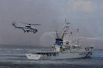 Dcim7917/DSC_2301