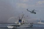 Dcim7917/DSC_2308