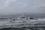 Dcim7919/DSC_2500