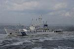 Dcim7919/DSC_2520