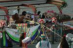 Dcim7928/DSC_0851