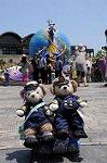 Dcim7929/DSC_2842