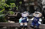 Dcim7932/DSC_3236