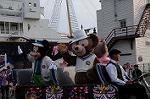 Dcim7933/DSC_3490