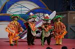 Dcim7934/DSC_3542